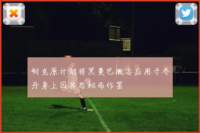 耐克原计划将黑曼巴概念应用于乔丹身上因其恐蛇而作罢