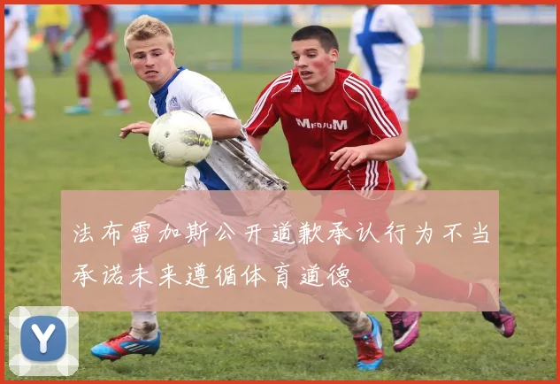 法布雷加斯公开道歉承认行为不当承诺未来遵循体育道德